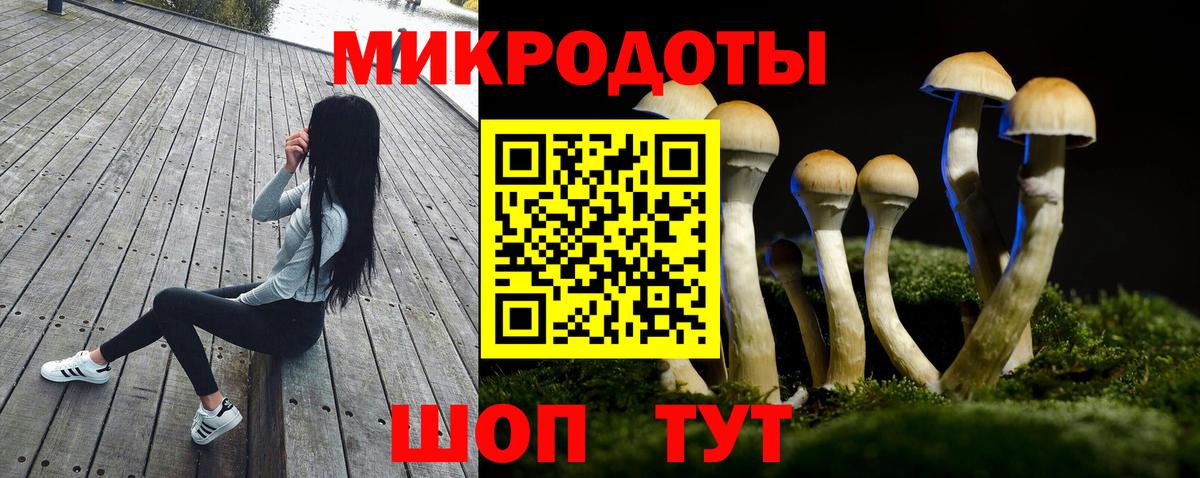 Псилоцибиновые грибы ЛСД Псков
